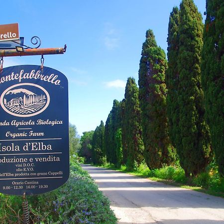 Agriturismo Montefabbrello Magazzini  Esterno foto