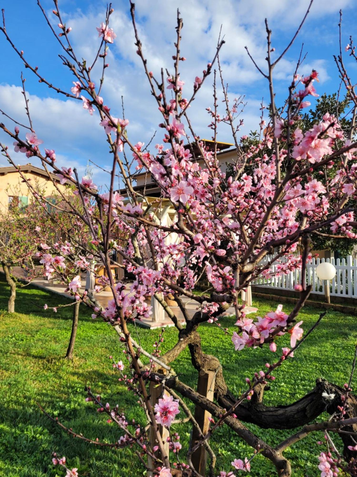 Agriturismo Montefabbrello Magazzini  Esterno foto